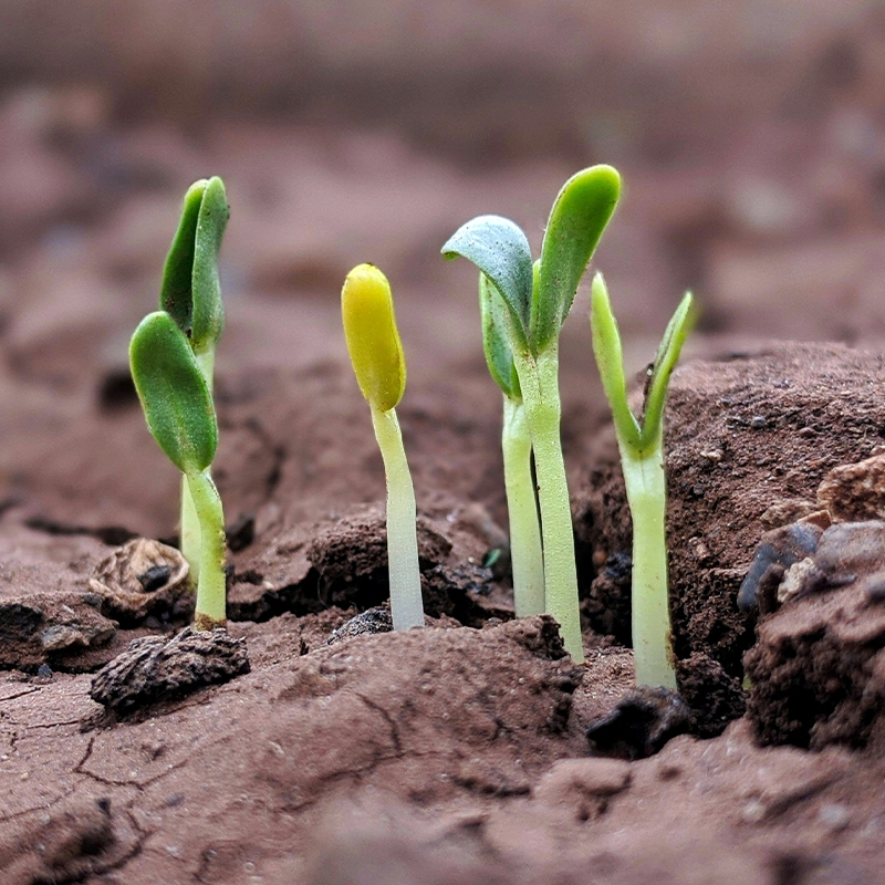 1641369233102192.jpg 1641369233102192.jpg