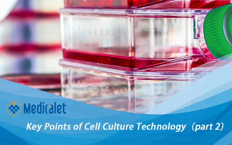 Key Points of Cell Culture Technology（part 2）