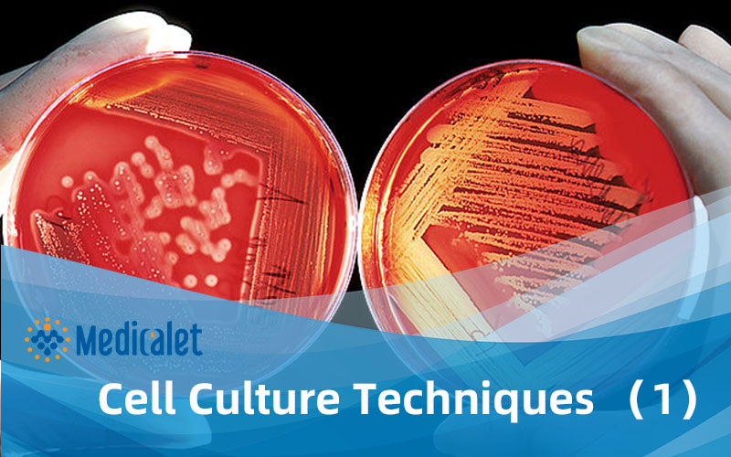 Cell Culture Techniques