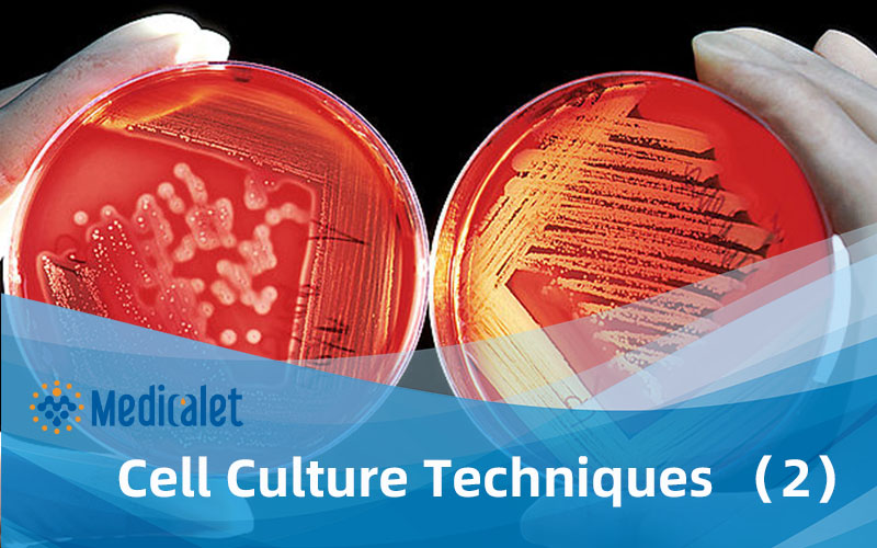 Cell Culture Techniques2